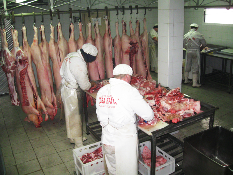 Klanica i prerada mesa – Dva Brata Loznica (12)