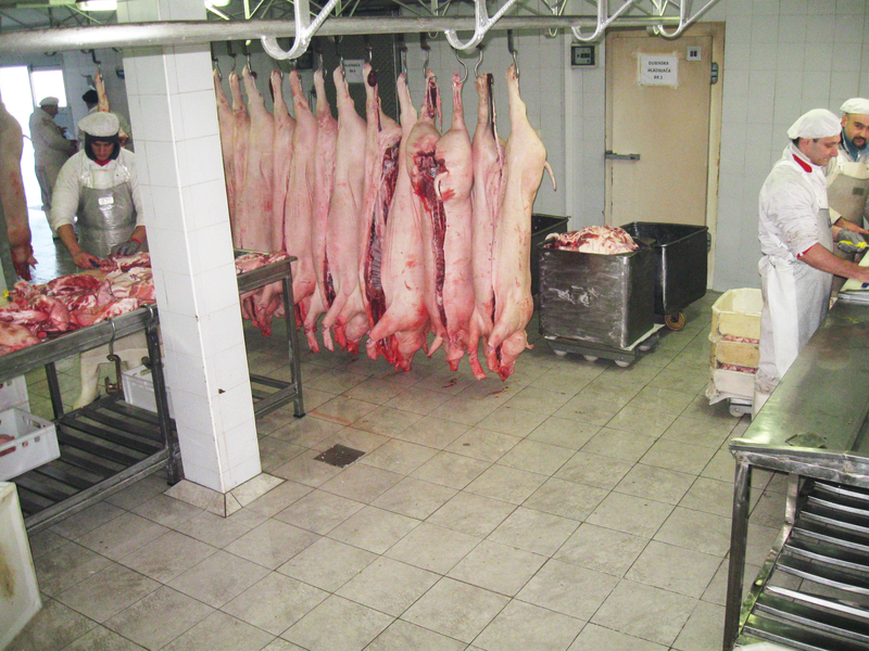 Klanica i prerada mesa – Dva Brata Loznica (14)