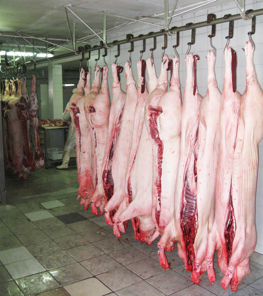 Klanica i prerada mesa – Dva Brata Loznica (2)