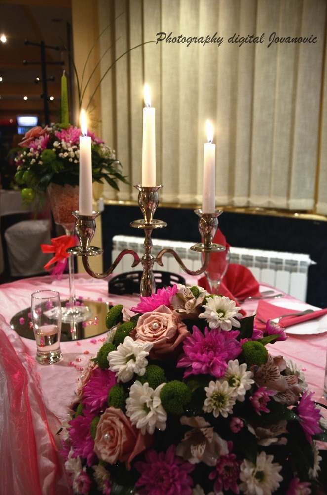 Plavi Restoran (ABC Invest DOO) Loznica (11)