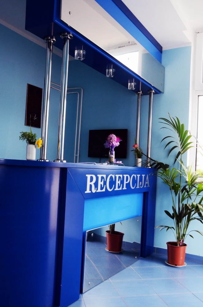 Plavi Restoran (ABC Invest DOO) Loznica (3)