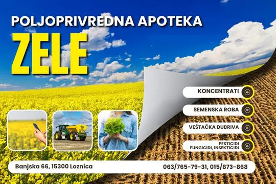zele (2)
