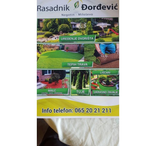 Rasadnik Đorđević Negotin