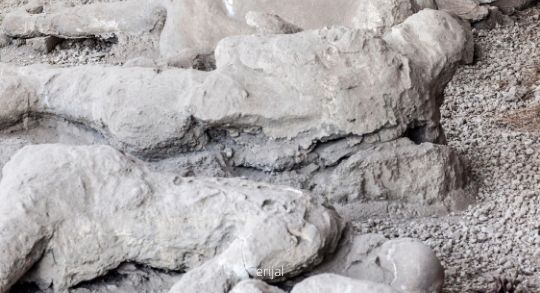 Krečana Beli Labud Rumenka | Poslovne Strane Srbije