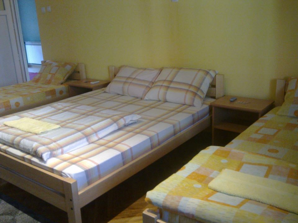 Prenoćište Dvor Smederevo (19)