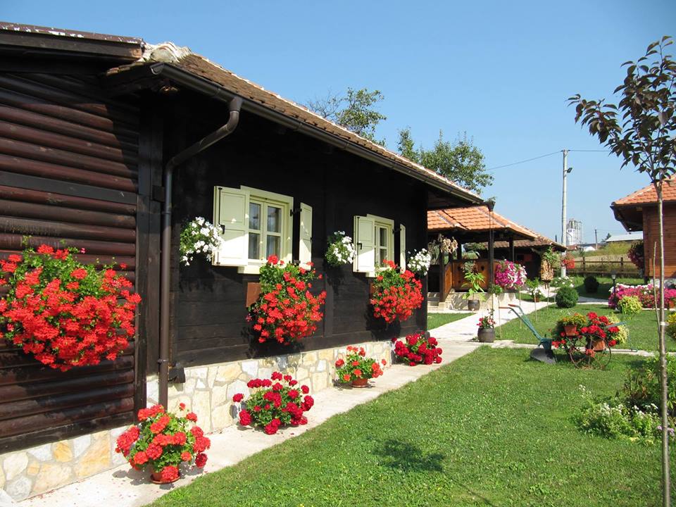 Rasadnik Irena Sevojno (1)