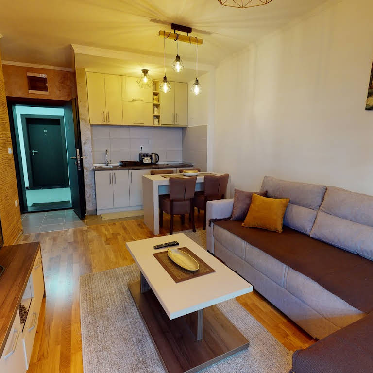 Apartmani Radomirović Zlatibor (3)