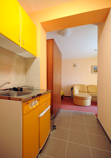 BANJSKI SNOVI APARTMANI Vrnjačka Banja (11)