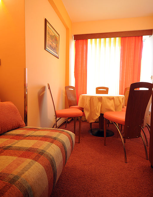 BANJSKI SNOVI APARTMANI Vrnjačka Banja (5)