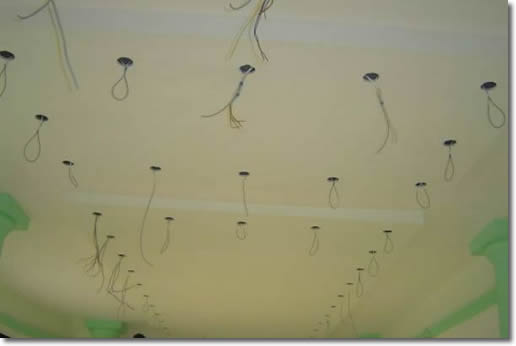 PRO Decoration Zemun – Beograd (2)